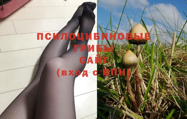 амф Алзамай
