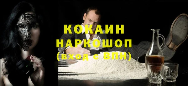 бошки Алексин