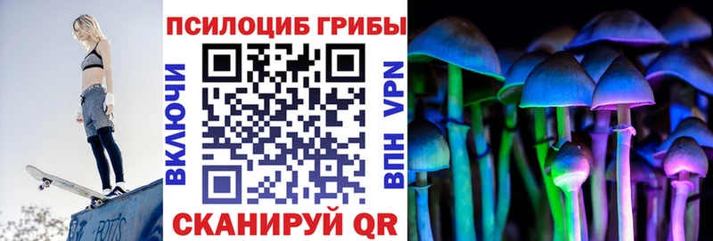 Галлюциногенные грибы Psilocybe  Купить  Карабаново 